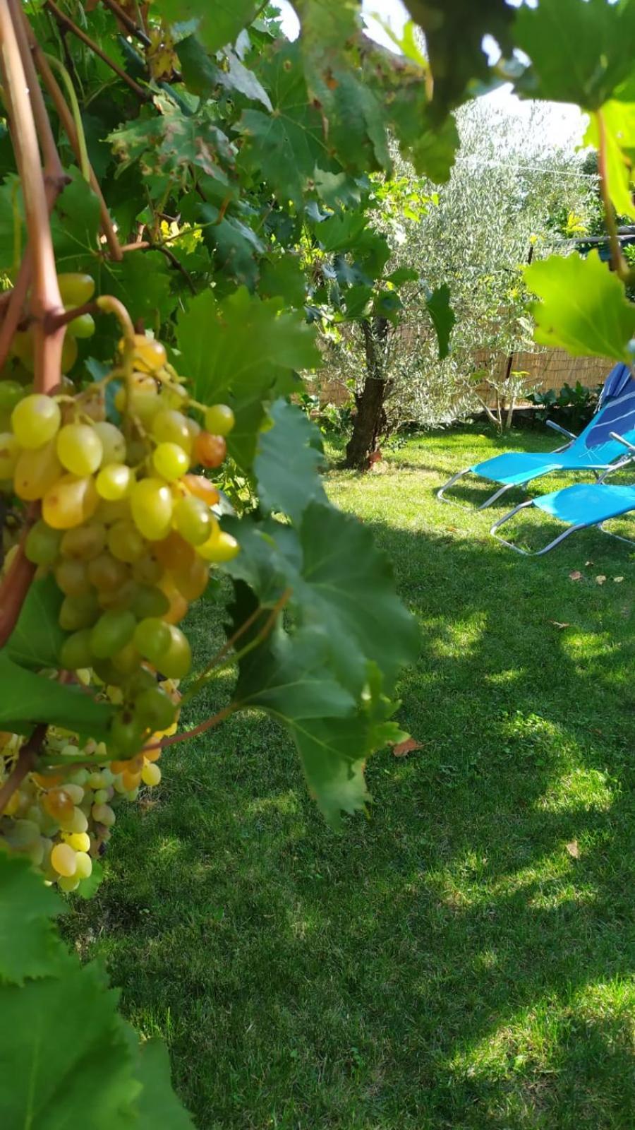 Casa Mia Βίλα Scala Εξωτερικό φωτογραφία