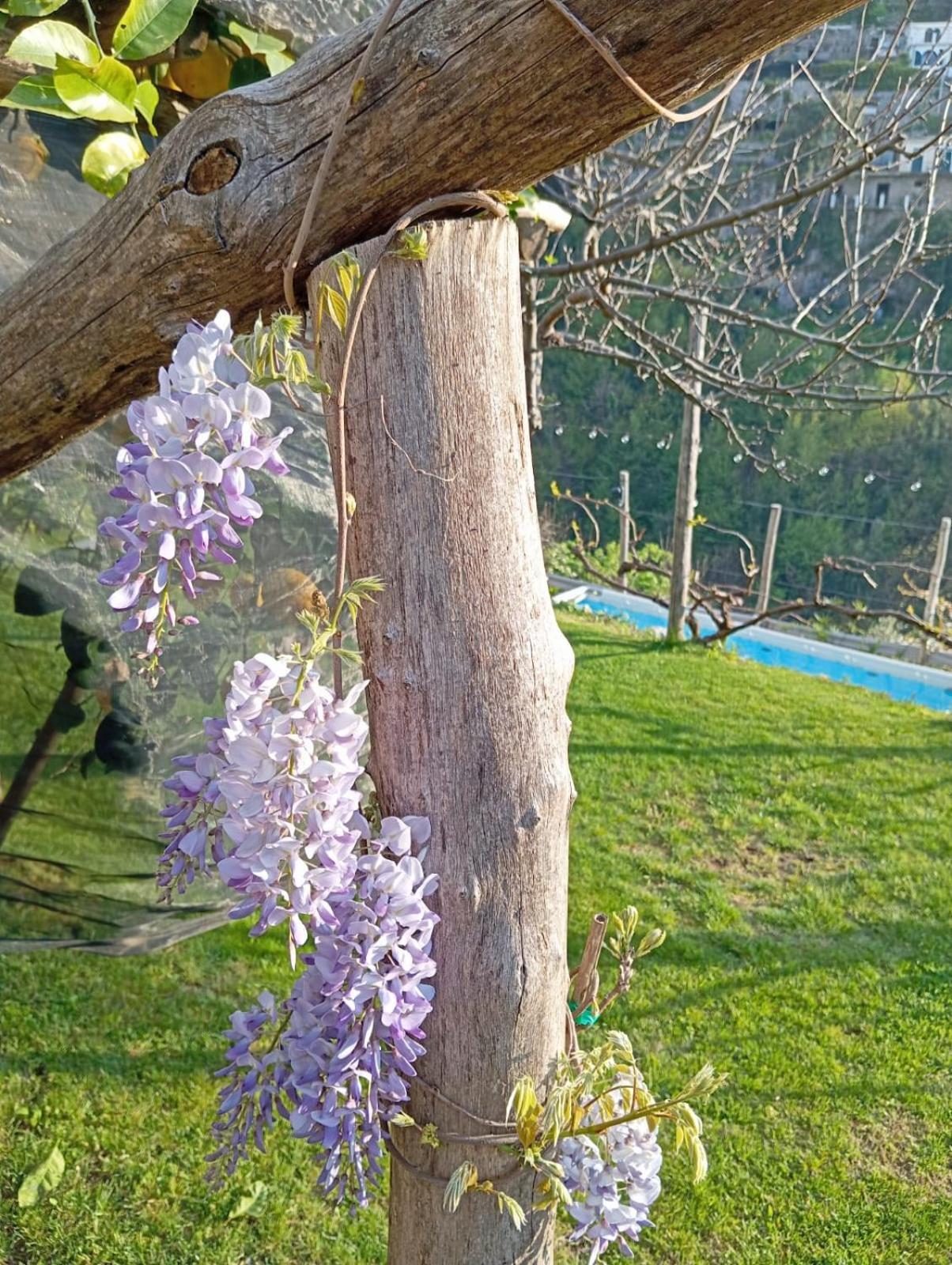Casa Mia Βίλα Scala Εξωτερικό φωτογραφία